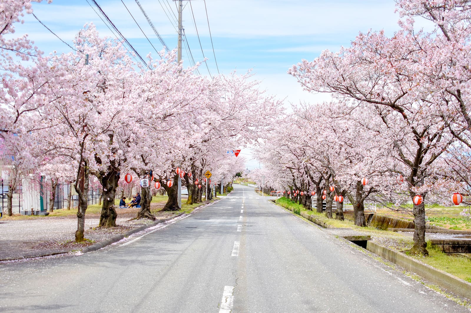 山梨 県 桜の 名所