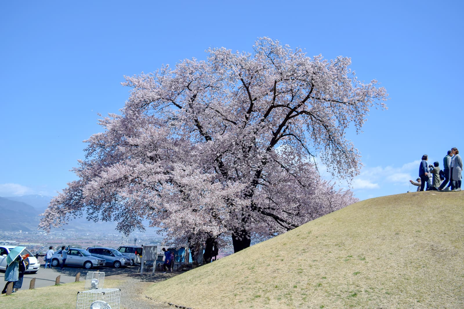 笛吹 市 八代 ふるさと 公園