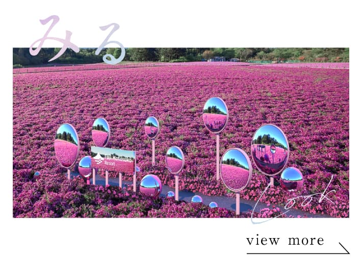 富士芝桜まつり2026でみる | PORTA