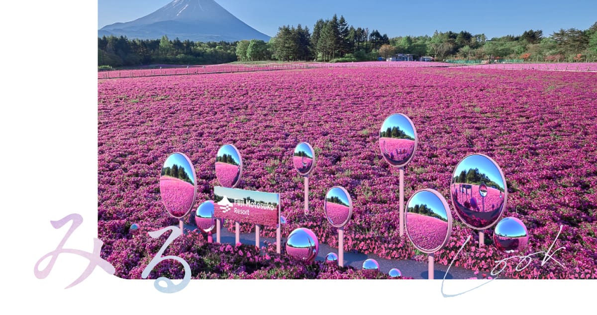 富士芝桜まつり2026でみる | PORTA