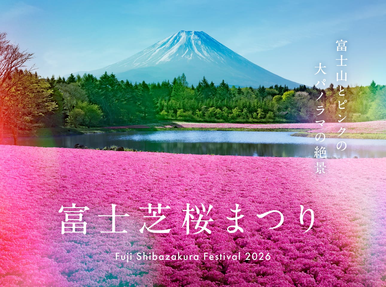 富士芝桜まつり2026年4月11日開幕！ | PORTA