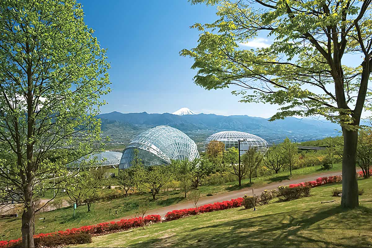 山梨 県 笛吹 川 フルーツ 公園