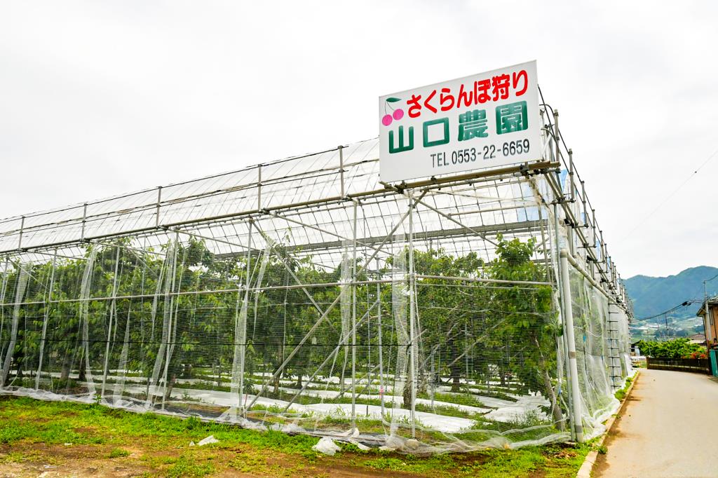 山口農園 | PORTA
