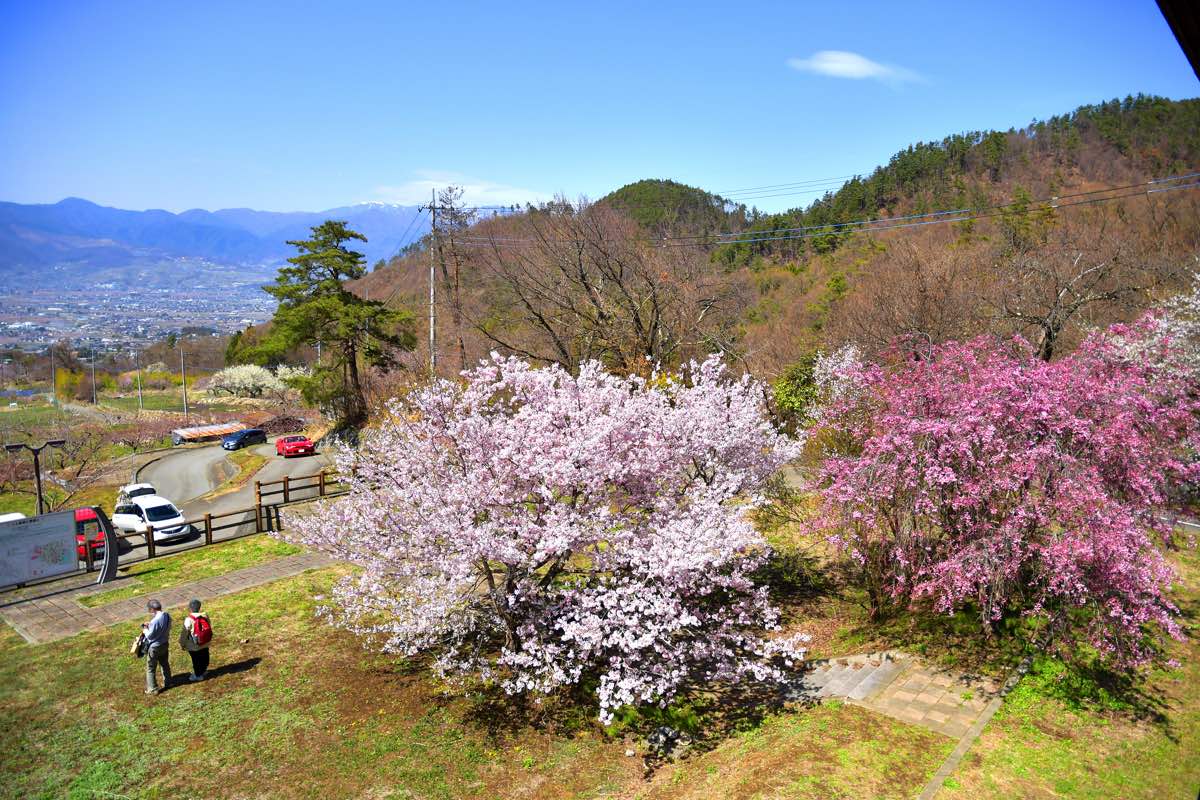 一宮町 花見台 | PORTA