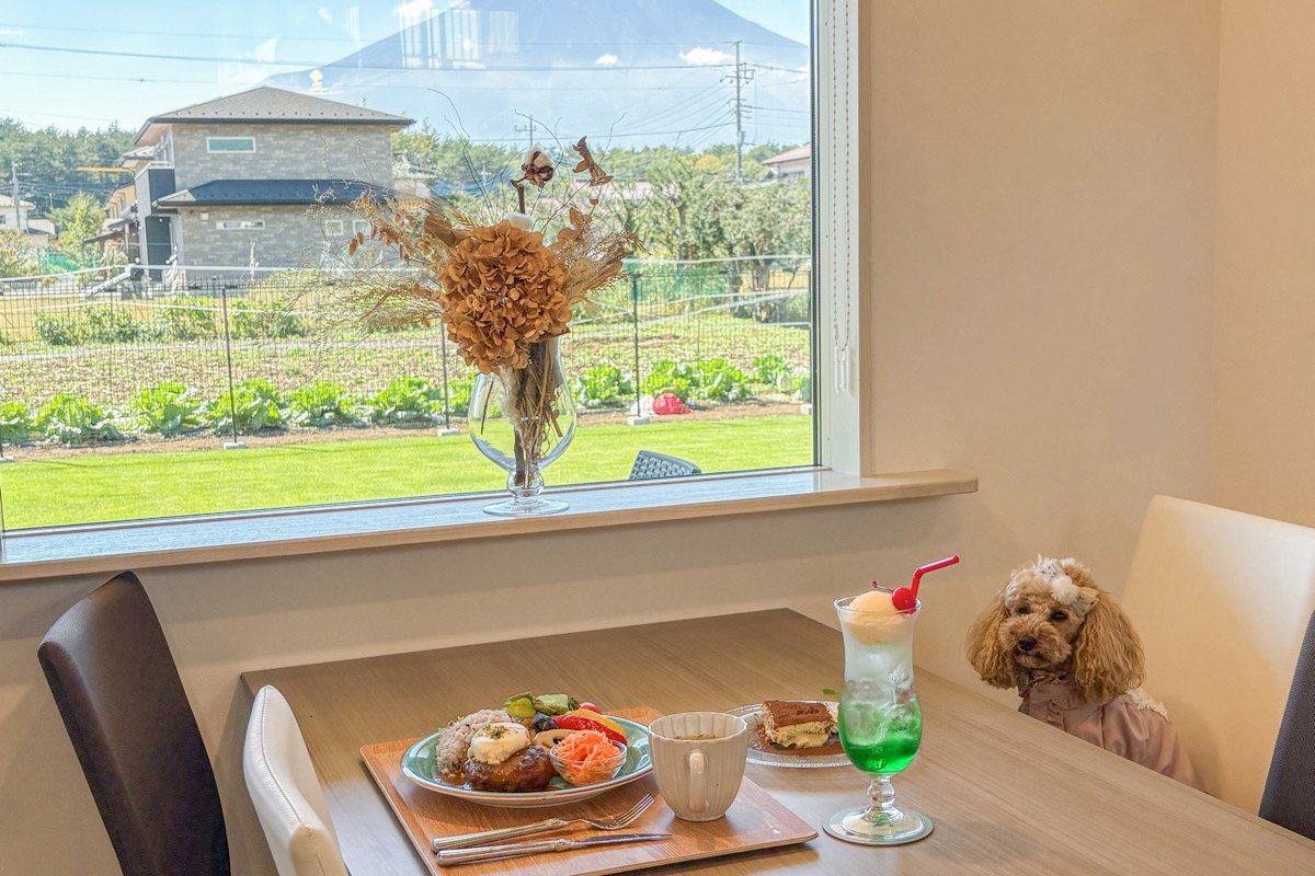 3POZZO cafe / 忍野村】天然芝と室内ドッグラン完備！ワン友と行きたい